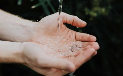 EFG Welcomes Adoption of EU Water Resilience Strategy