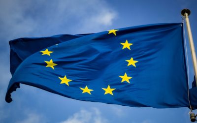 EFG releases position paper calling for a Modular European Framework for Subsurface Governance